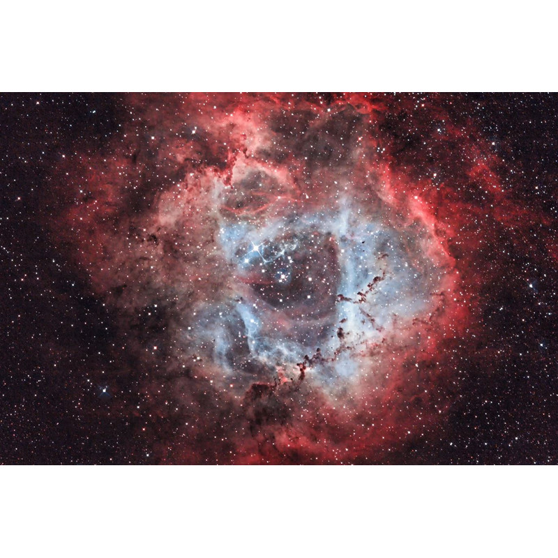 OPT Filtre Filtru de bandă îngustă Triad Ultra Quad-Band 1.25"