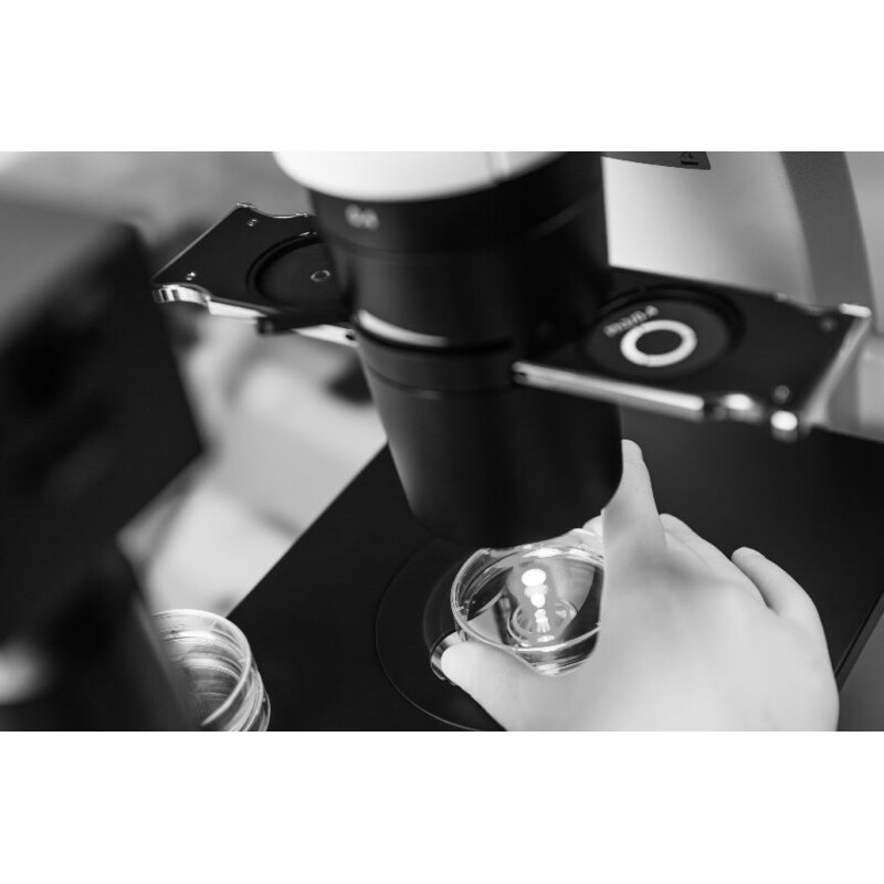 ZEISS Microscop inversat Primovert bino Ph1, 40x, 100x, Cond 0.3