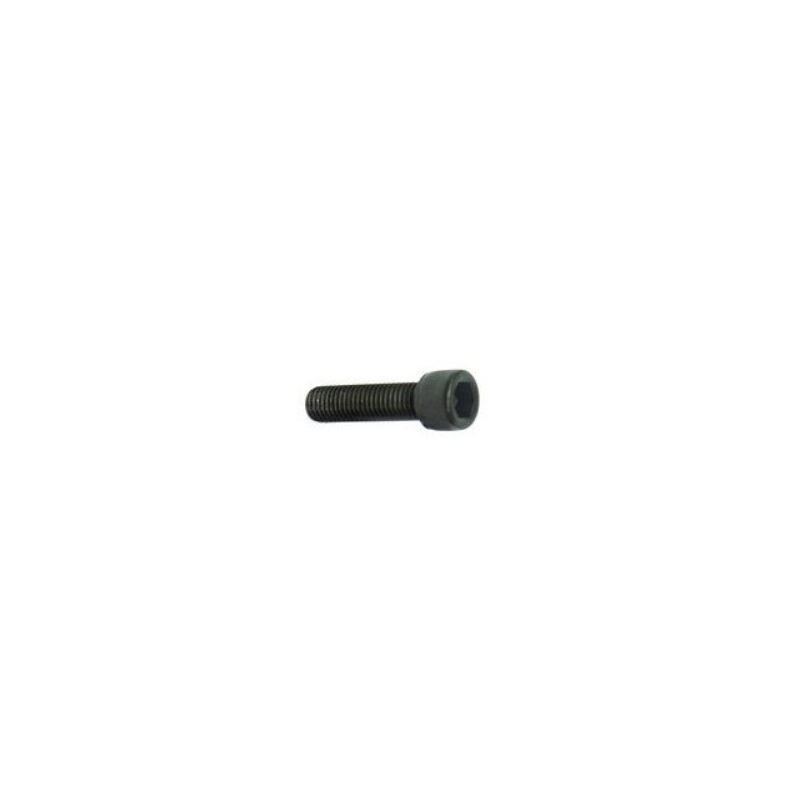 Artesky Șurub foto 1/4" hexagonal 10mm