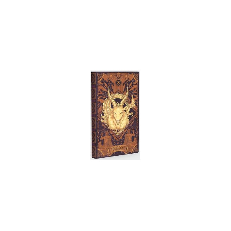 AstroReality Notebook Notebook Zodiac - Capricorn