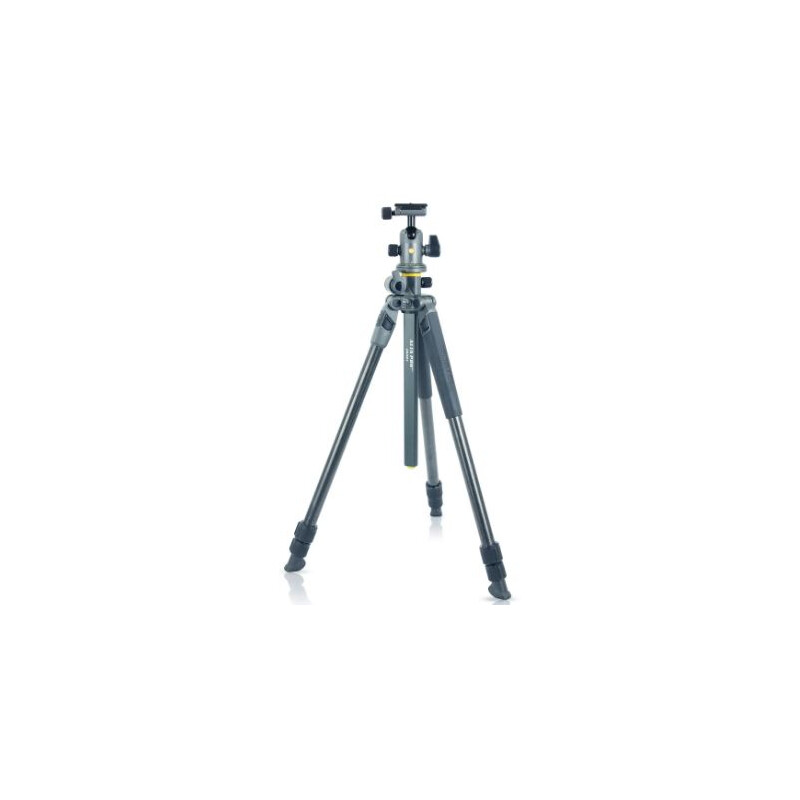 Vanguard Trepied din carbon Alta Pro 2+ 263CB 100