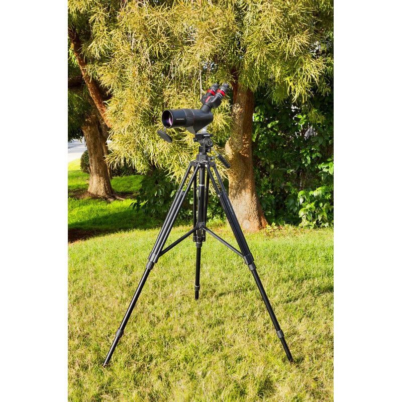 Orion Instrument terestru 80mm ED Semi-Apo Binocular