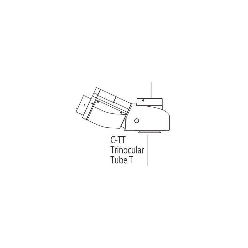 Nikon C-TT Tub trinocular T