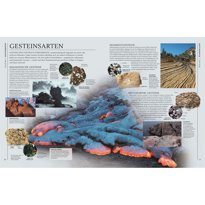 Dorling Kindersley Steiner și minerale