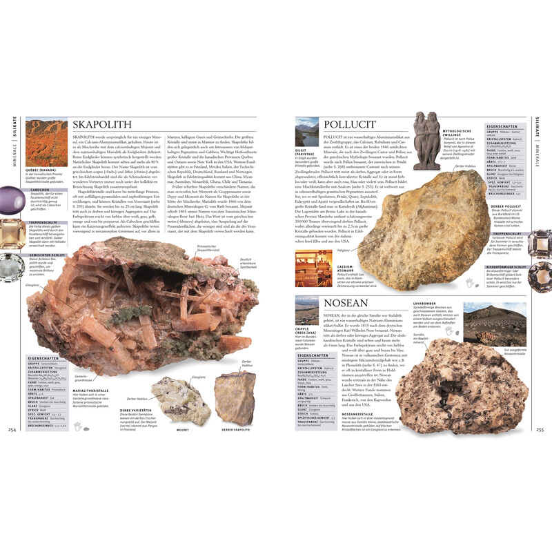 Dorling Kindersley Steiner și minerale