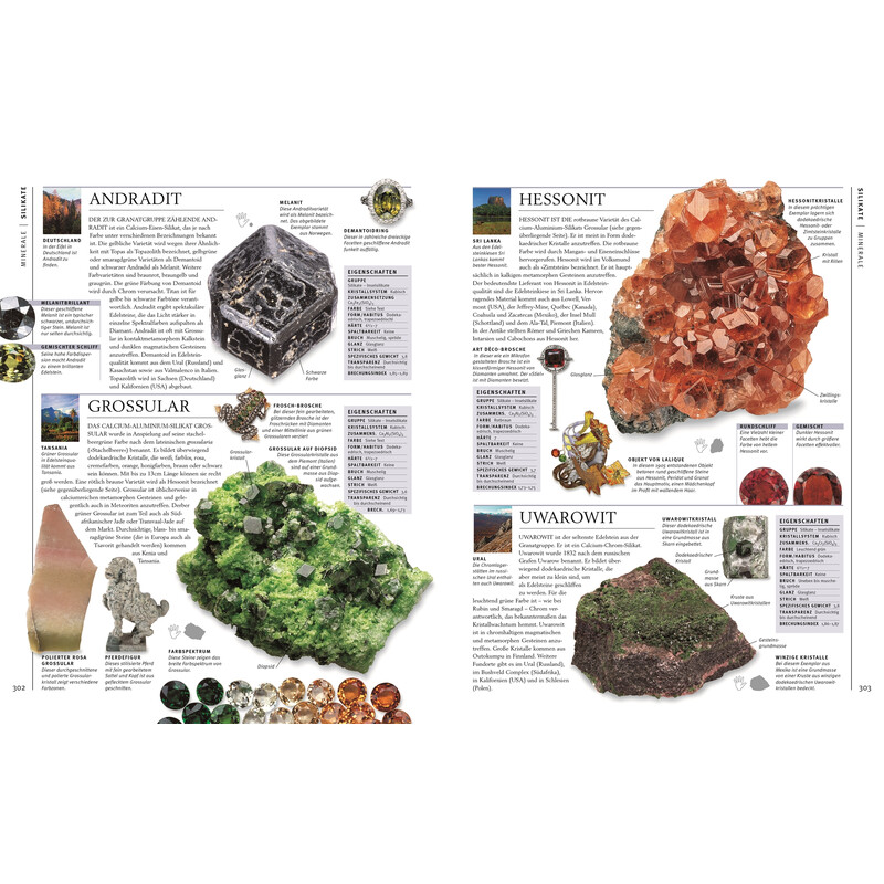 Dorling Kindersley Steiner și minerale