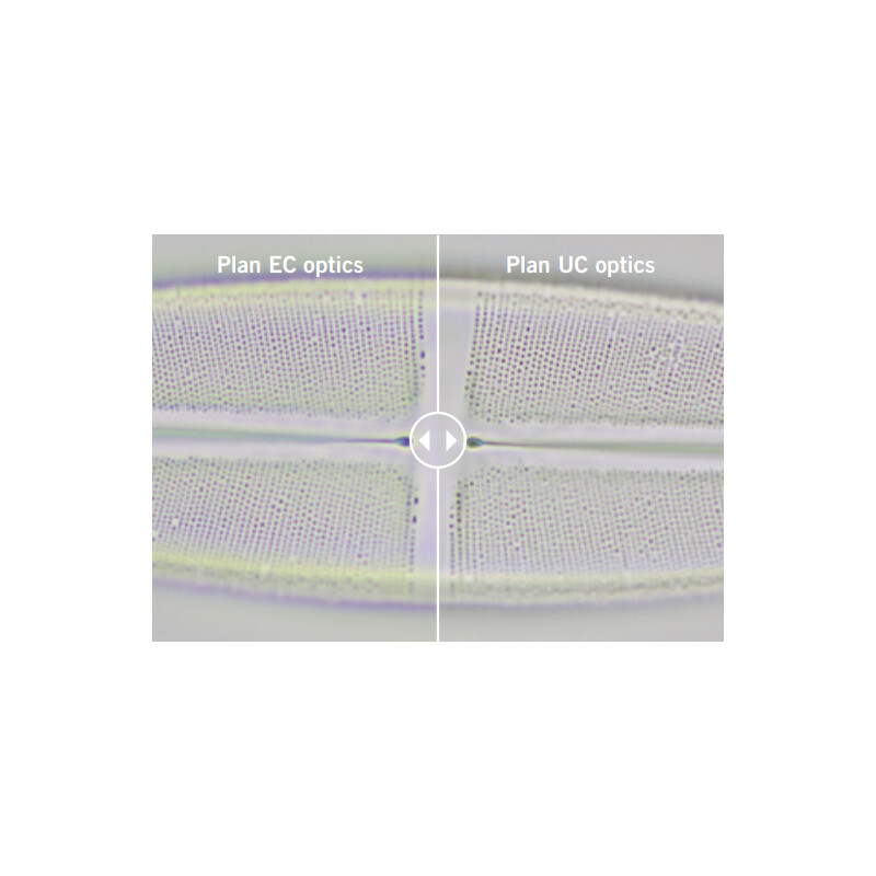 Motic Microscop Panthera E2, Trinocular, HF, INFINITY, plan achro., 40x-1000x, fix Koehl.LED
