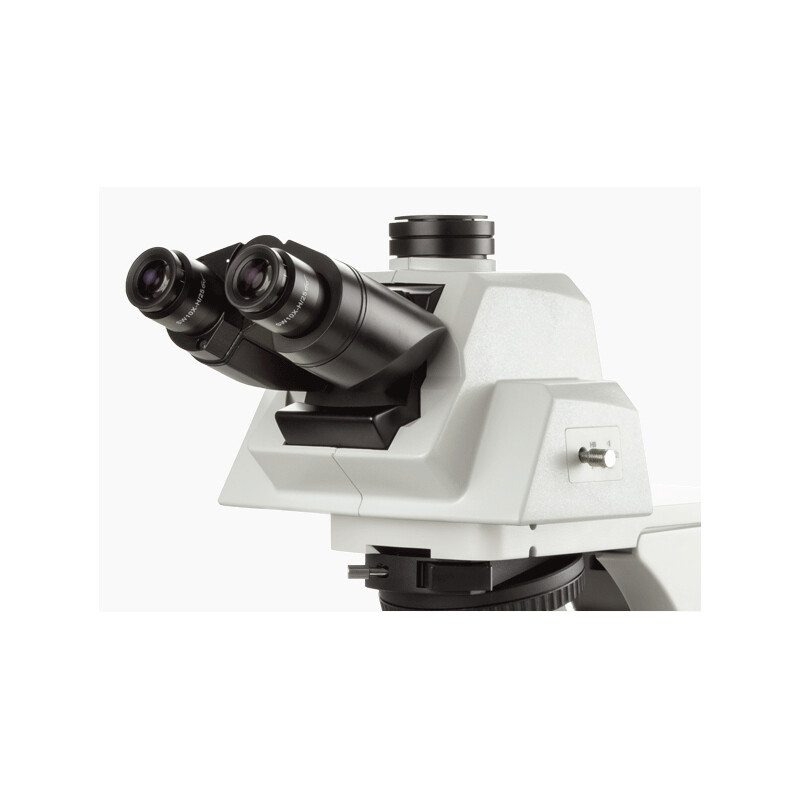 Euromex Microscop Delphi-X, DX.2158-APLi, trino, 40x - 1000x, Plan apocromat, cu cap ergonomic și iluminator cu halogen de 100W. cap ergonomic și Iluminare cu halogen de 100W