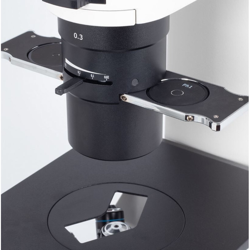 Motic Microscop inversat AE31E bino, infinity, 40x-400x, phase, Hal, 30W