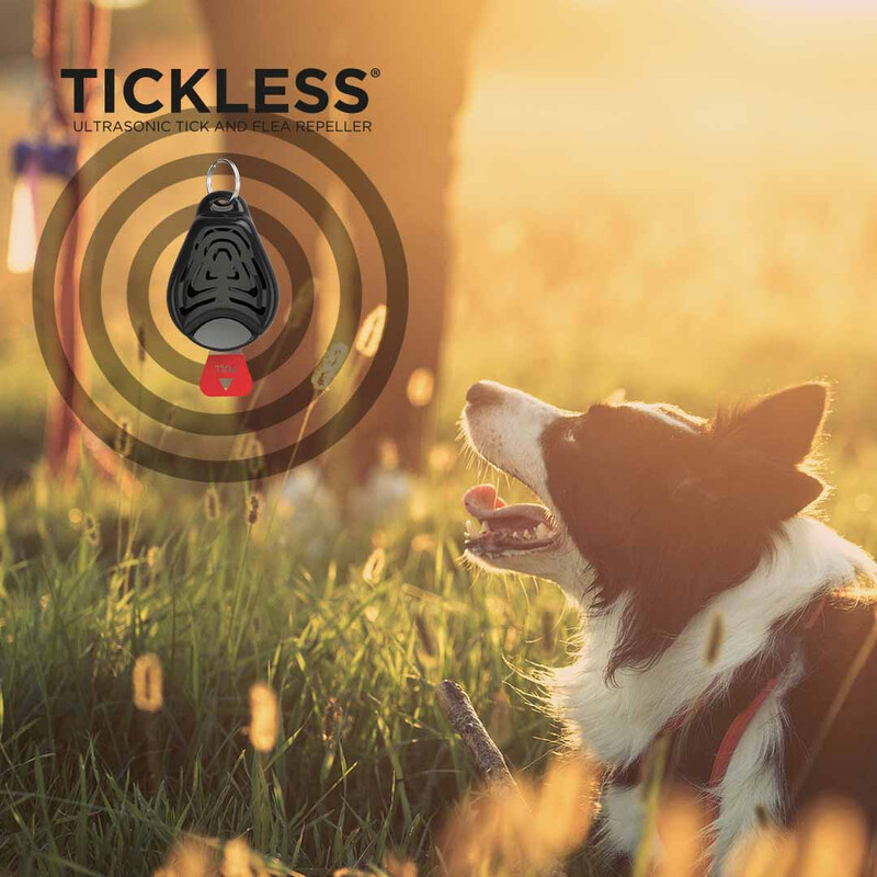 Tickless Animal de companie