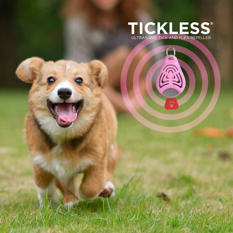 Tickless Animal de companie
