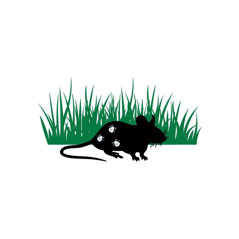 Thermacell Tick Repellent Protect