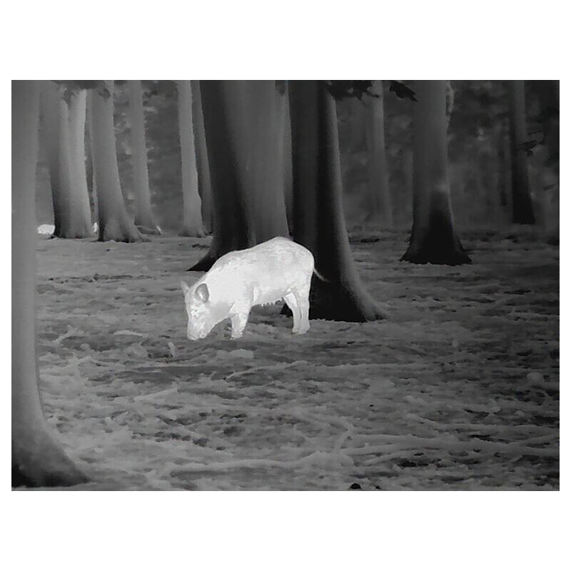 Leica Camera de termoviziune Calonox View