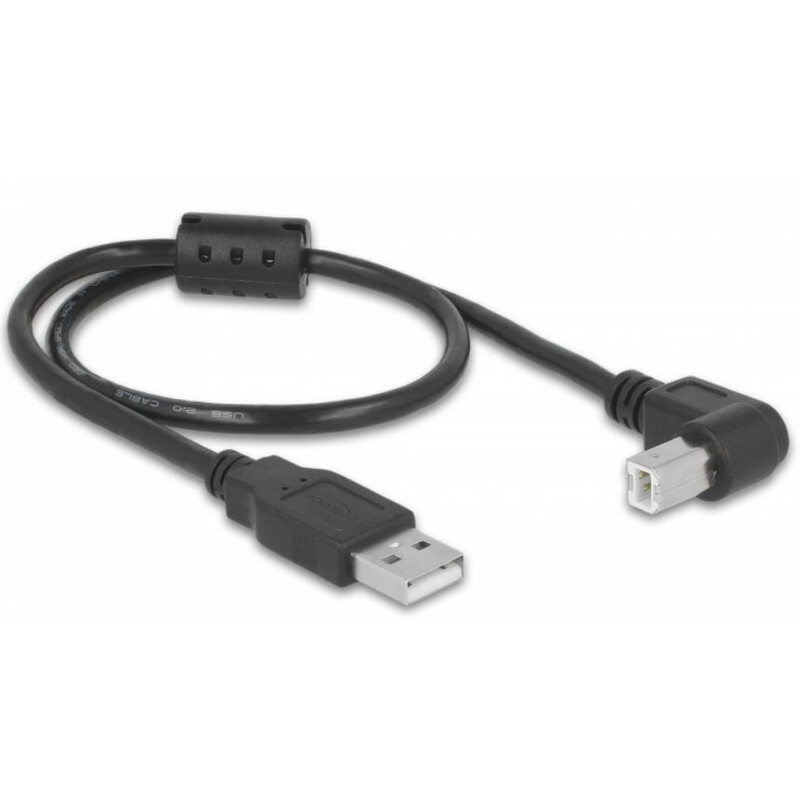 PegasusAstro Set cablu USB 2x USB2.0 Type-B 50cm