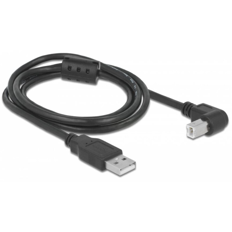 PegasusAstro Set cablu USB 2x USB2.0 Type-B 1m