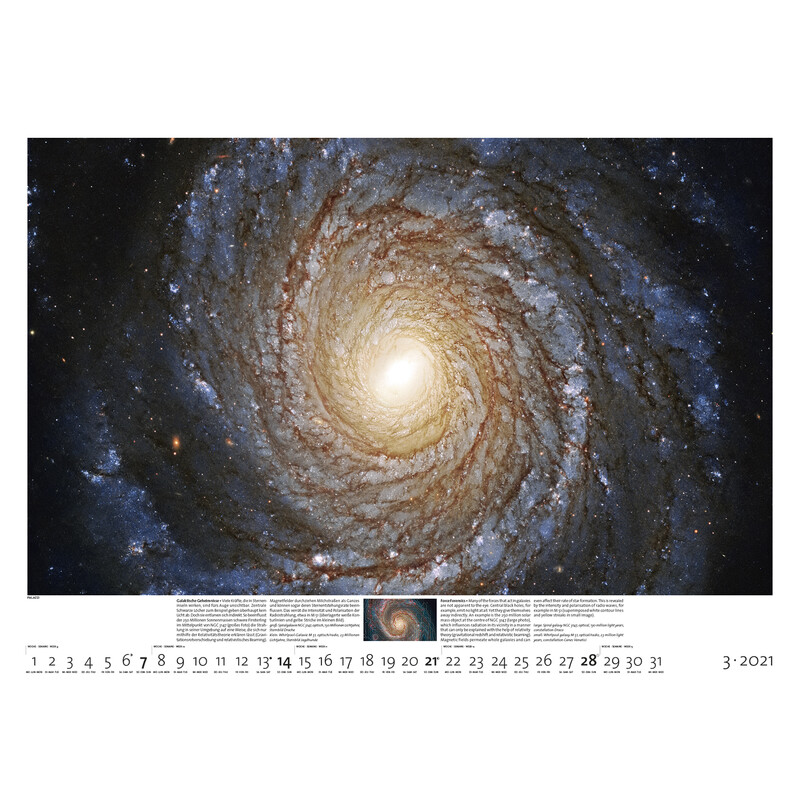 Palazzi Verlag Calendar Sternzeit 2021