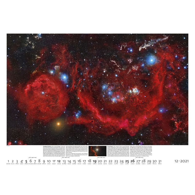 Palazzi Verlag Calendar Sternzeit 2021
