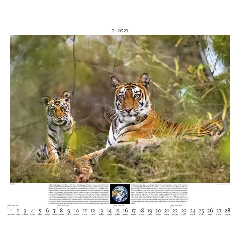 Palazzi Verlag Calendar Planet Erde 2021