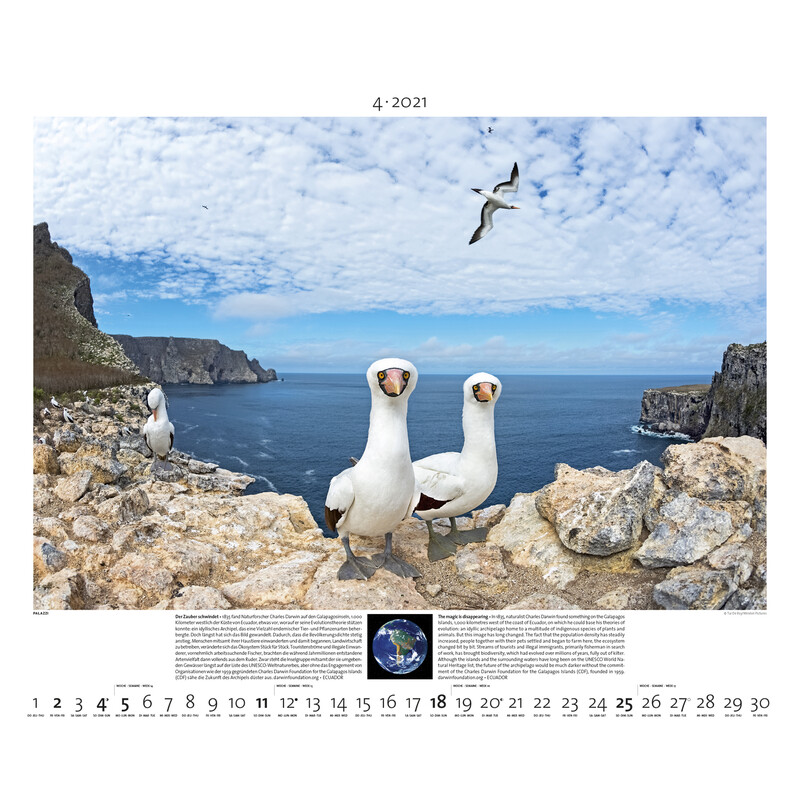 Palazzi Verlag Calendar Planet Erde 2021