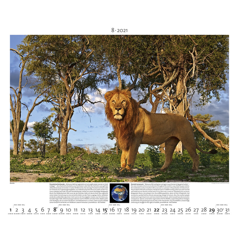 Palazzi Verlag Calendar Planet Erde 2021
