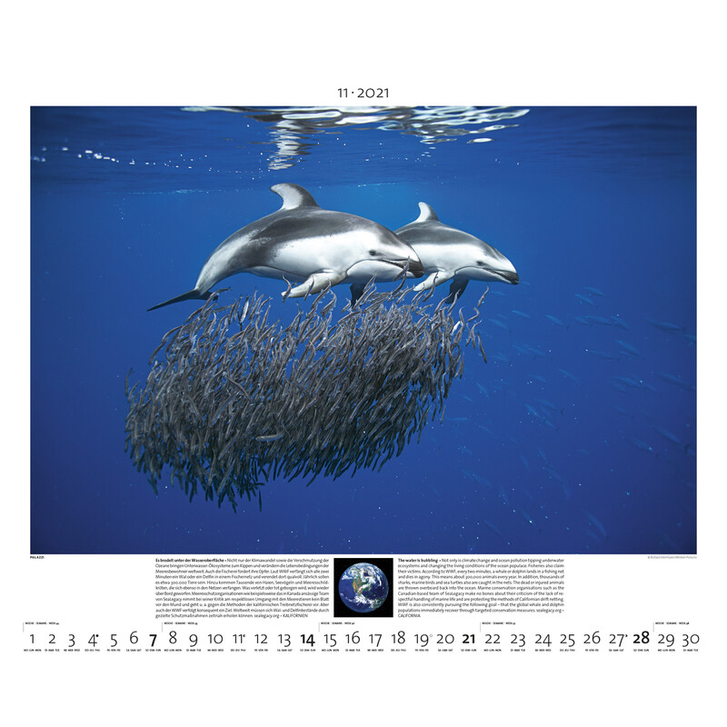 Palazzi Verlag Calendar Planet Erde 2021
