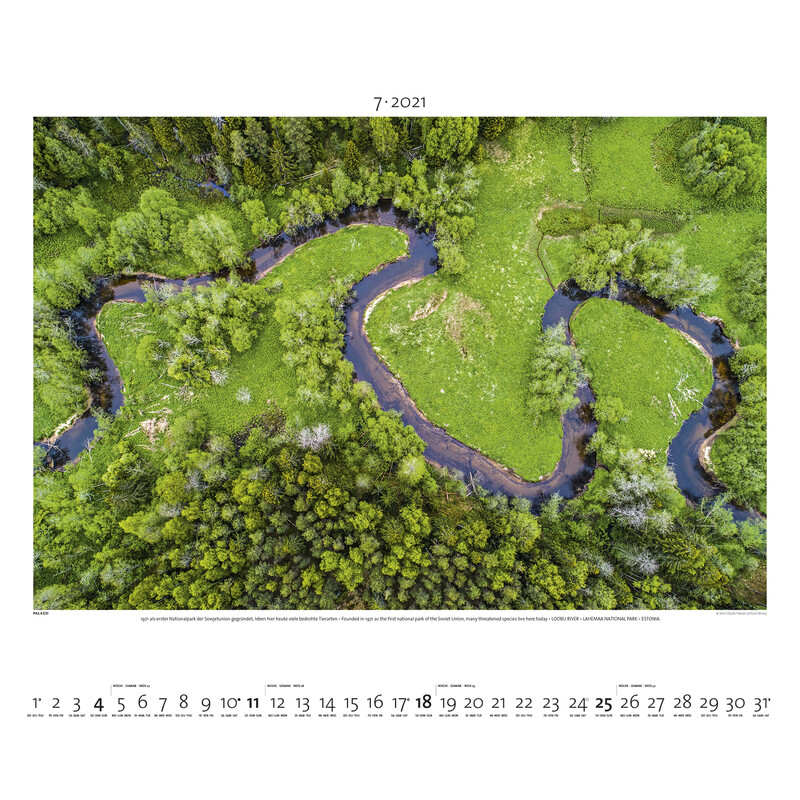 Palazzi Verlag Calendar Lumea de sus 2021