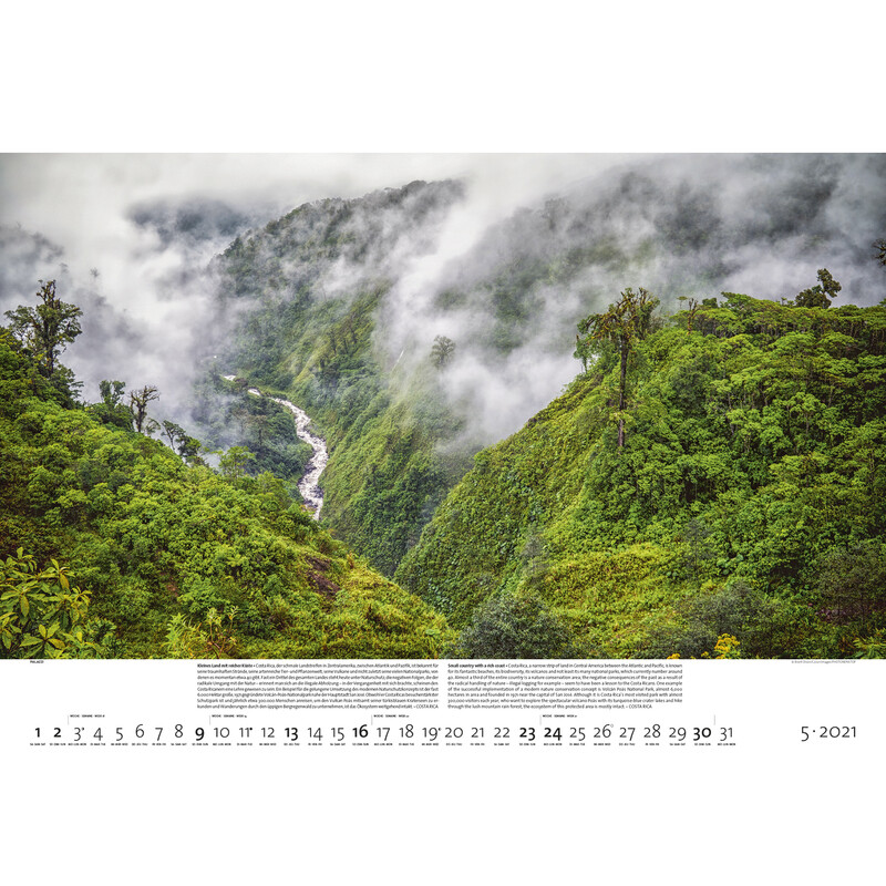 Palazzi Verlag Calendar Pădurile pământului 2021