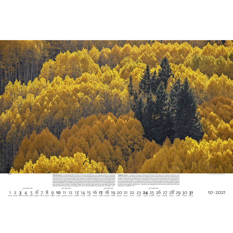 Palazzi Verlag Calendar Pădurile pământului 2021