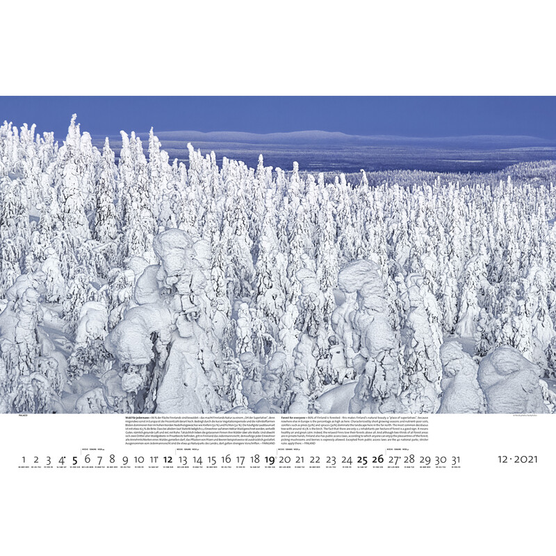Palazzi Verlag Calendar Pădurile pământului 2021