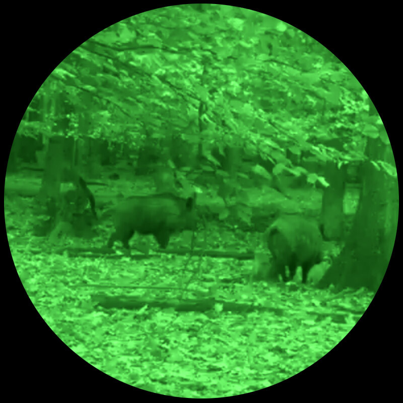 Lahoux Aparat Night vision LV-81 Standard verde