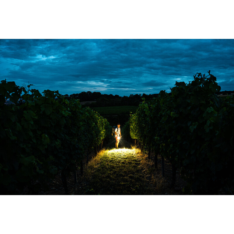 LED LENSER Lanternă Semnătura P6R