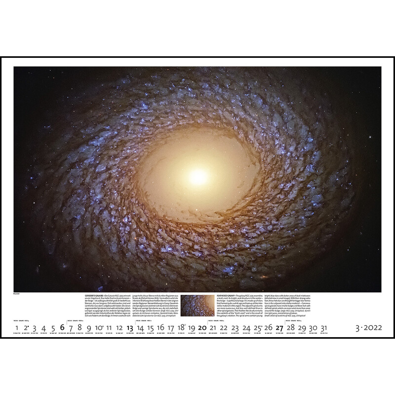 Palazzi Verlag Calendar Sternzeit 2022