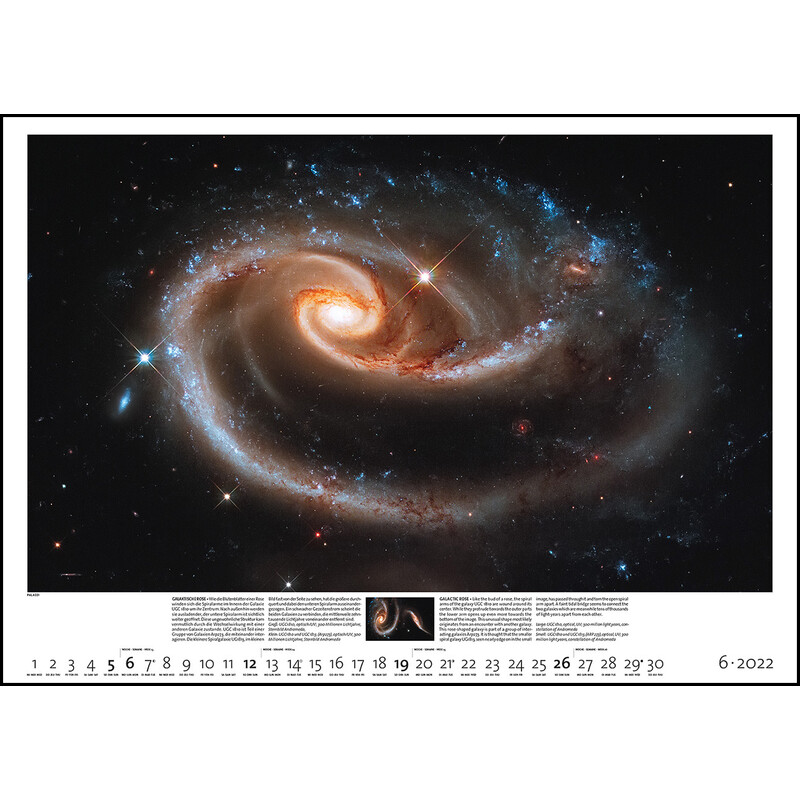 Palazzi Verlag Calendar Sternzeit 2022