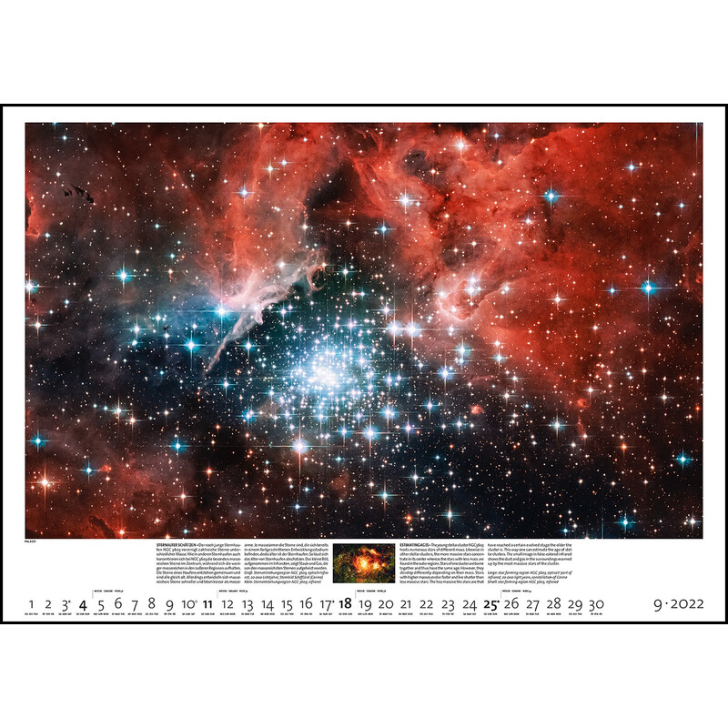 Palazzi Verlag Calendar Sternzeit 2022