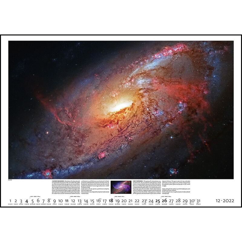Palazzi Verlag Calendar Sternzeit 2022