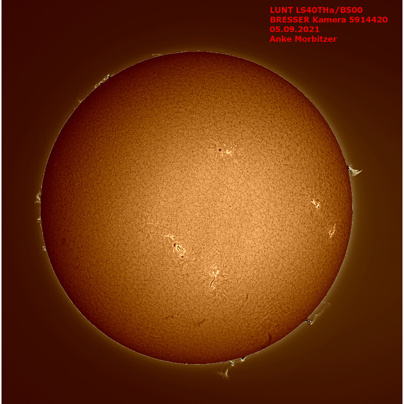 Lunt Solar Systems Telescop solar ST 40/400 LS40T Ha B1200