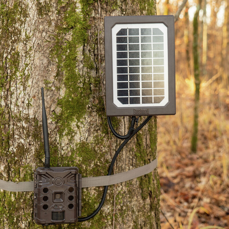 Bushnell Panou solar Tan Universal, cutie