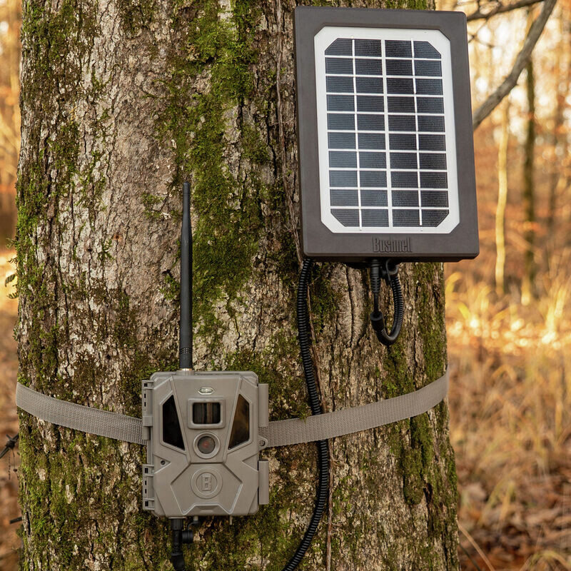 Bushnell Panou solar Tan Universal, cutie