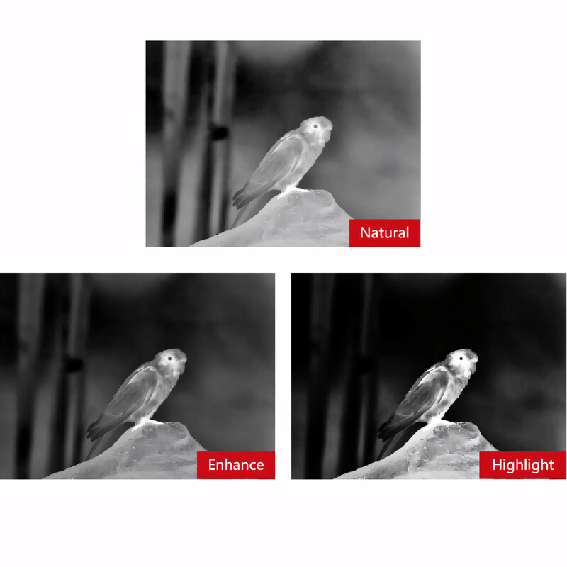Guide Camera de termoviziune TN650