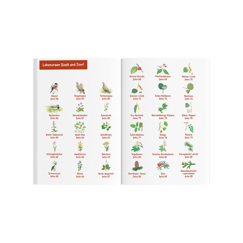 Kosmos Verlag Primul meu ghid din lumea plantelor si animalelor (in germana)