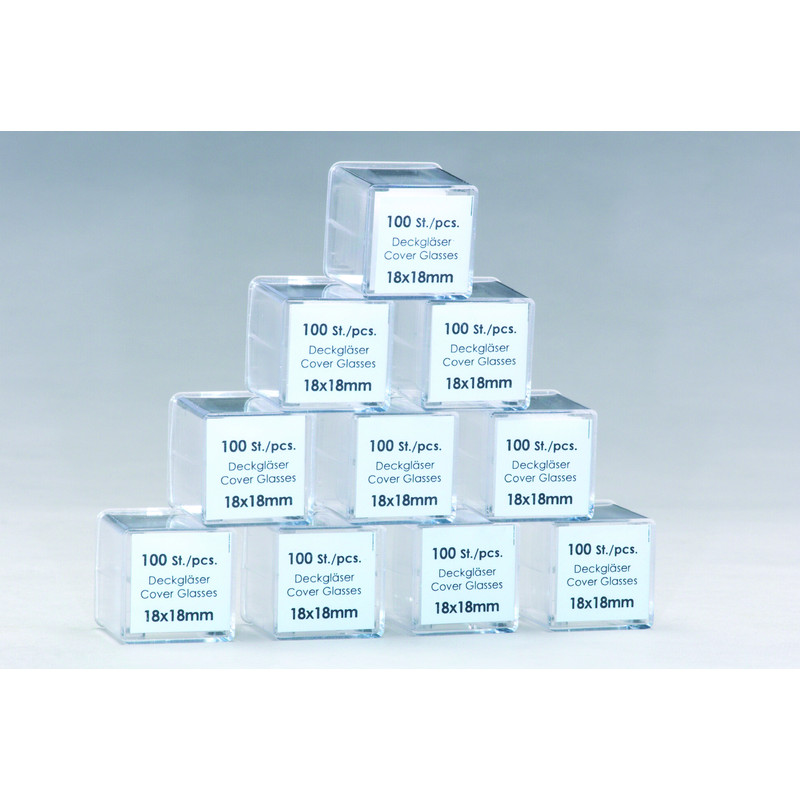 Windaus Lamela de acoperire, 100 buc., 24x32 mm