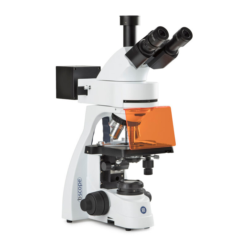 Euromex Microscop BS.3153-PLFi, trino, 40x-1000x