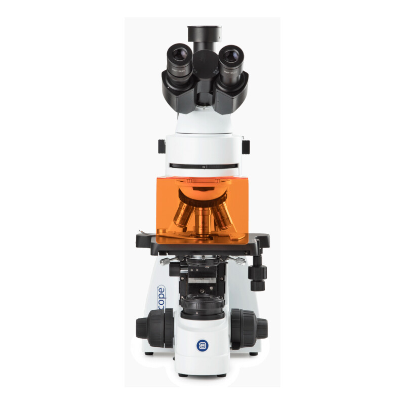 Euromex Microscop BS.3153-PLFi, trino, 40x-1000x