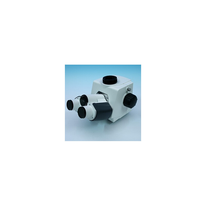 ZEISS Ergofototubul Binocular 20°/23 (100:0/0:100), imagine inversată