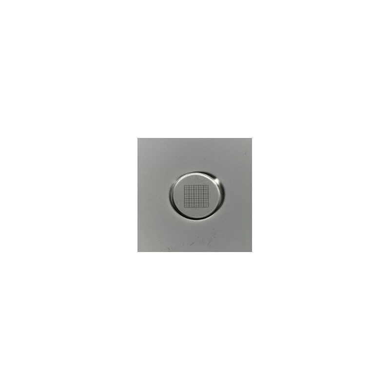 ZEISS Placă cu marcaj micrometric Micrometru de plasă 10x10/5:10, d=21 mm