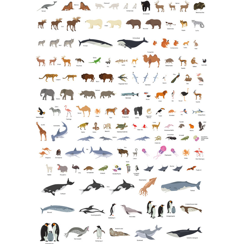 GeoMetro Harta pentru copii Lumea animalelor (84 x 60 cm)