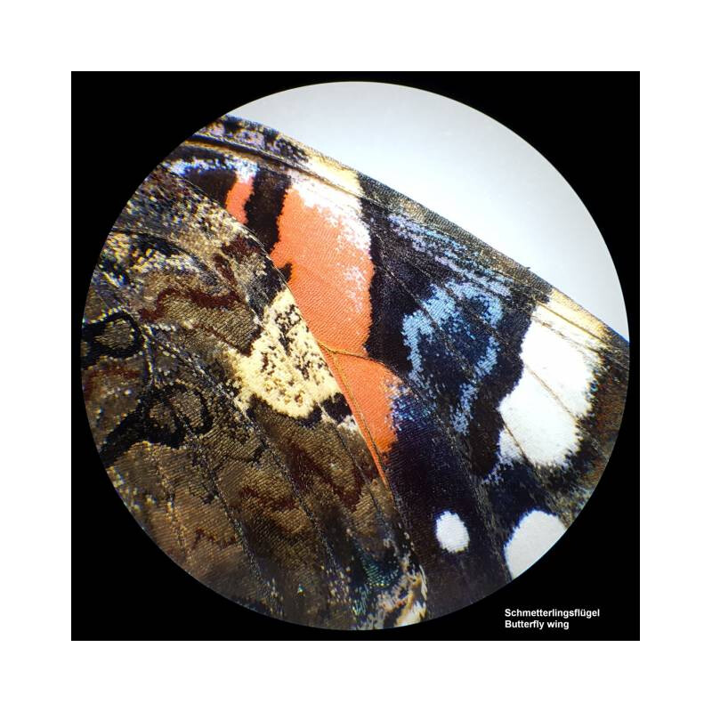Bresser Microscopul stereoscopic Analyth STR 10x-40x bino; Greenough; 50mm; 10x/20; 10-40x; LED, cameră, 2MP