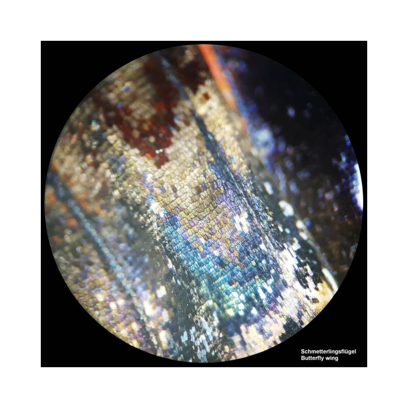 Bresser Microscopul stereoscopic Analyth STR 10x-40x bino; Greenough; 50mm; 10x/20; 10-40x; LED, cameră, 2MP
