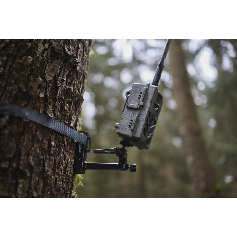 ZEISS Cameră  viata sălbătică Secacam 5 (pachet de 3)