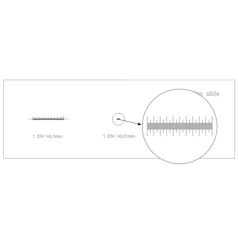 MAGUS Diapozitiv de microscop pentru calibrare CS3